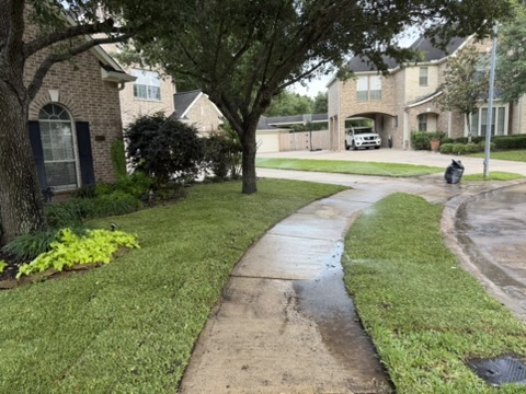 Freshly installed sod creating a lush green lawn along a walkway in Houston by Lawn Lovin' Mowers